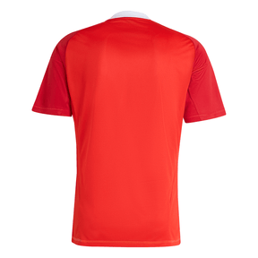 Camisa Flamengo Goleiro III 25/26 Adidas - Torcedor
