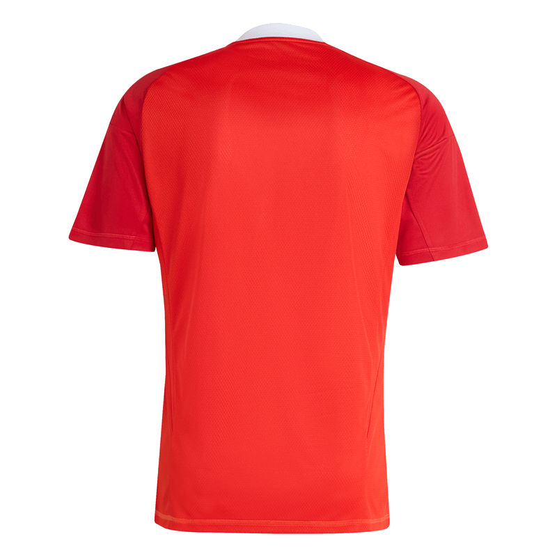 Camisa Flamengo Goleiro III 25/26 Adidas - Torcedor