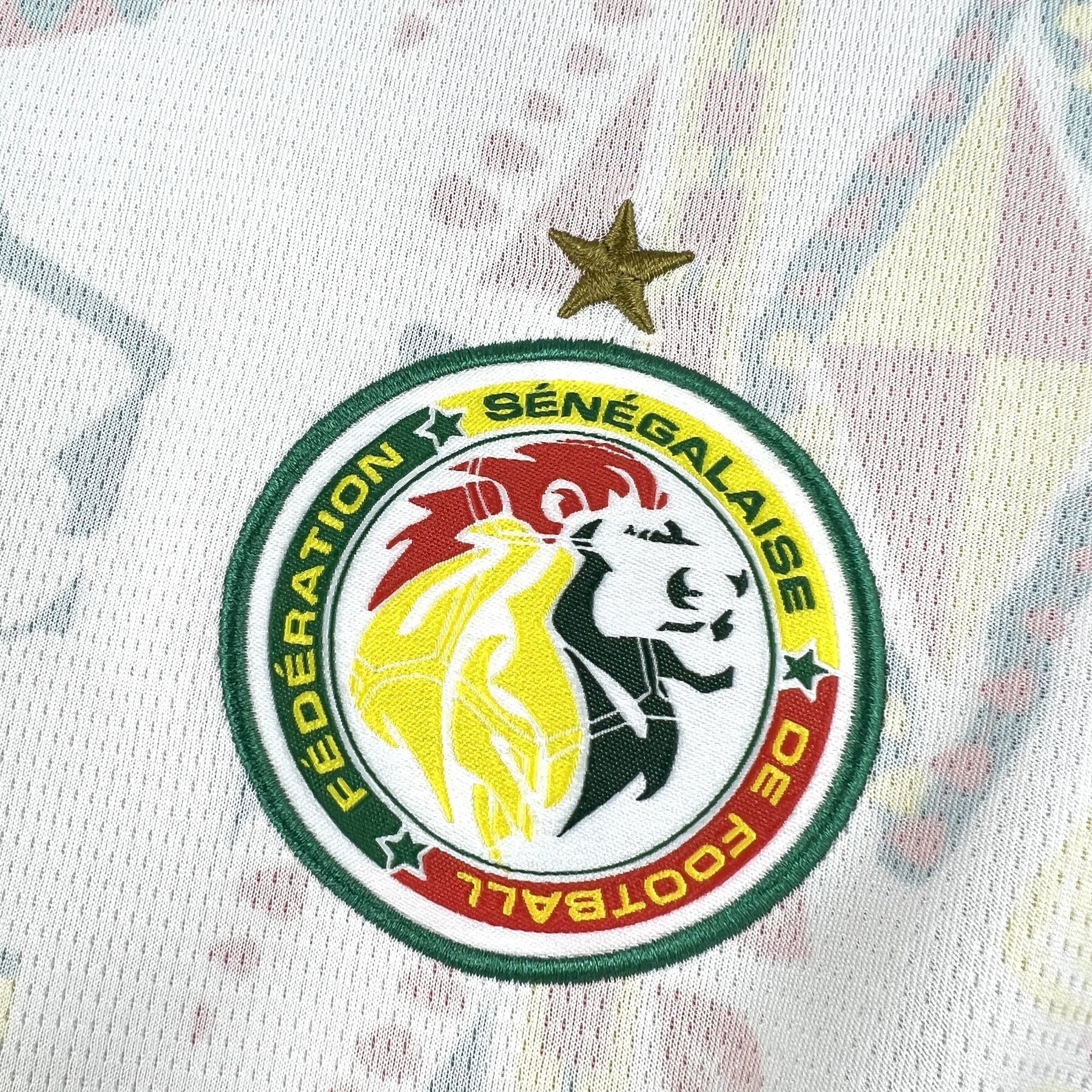 Camisa Senegal Home 26/27 - Puma Torcedor Masculina - Copa Do Mundo