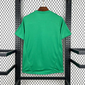 Camisa Palmeiras Treino 25/26 Puma Torcedor