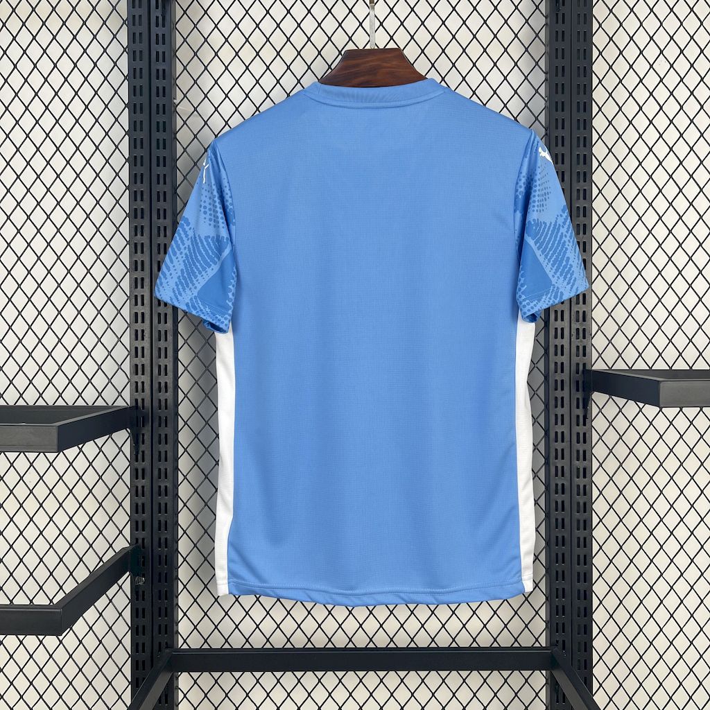 Camisa Palmeiras Goleiro I 25/26 Puma - Torcedor
